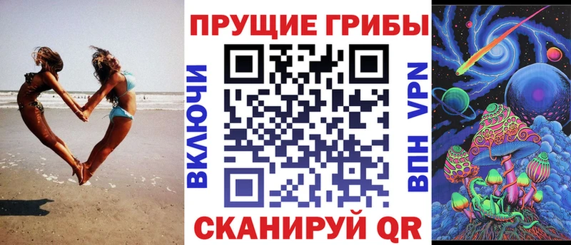 Псилоцибиновые грибы Cubensis  Невьянск 